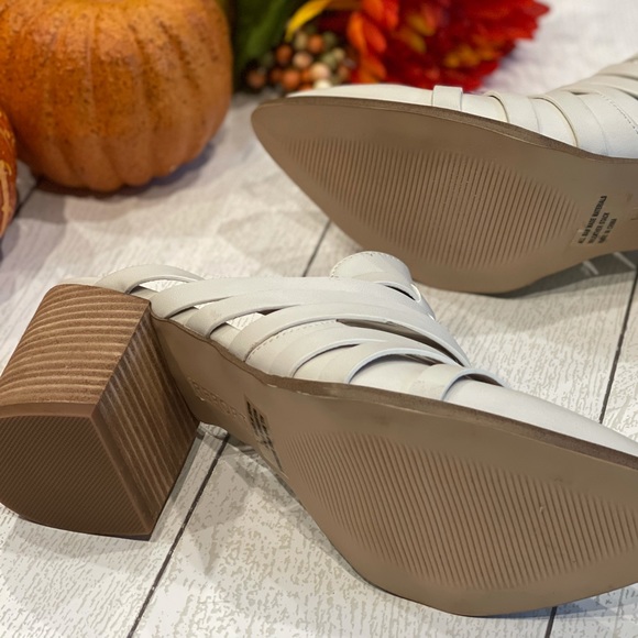 NWOB Report Tommy Mule - Picture 4 of 6